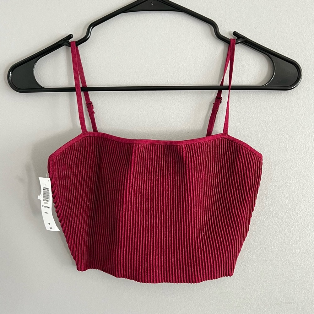 Babaton aritzia top